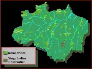 A área que ocupa o Parque Nacional Indíxena no Xingu