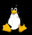 O Linux podería distribuírse nos Dell